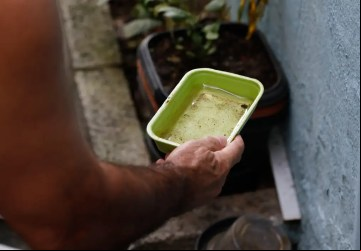Foto: Brasil 61