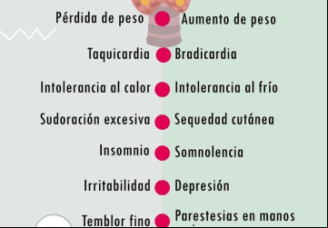 Foto: Medclub